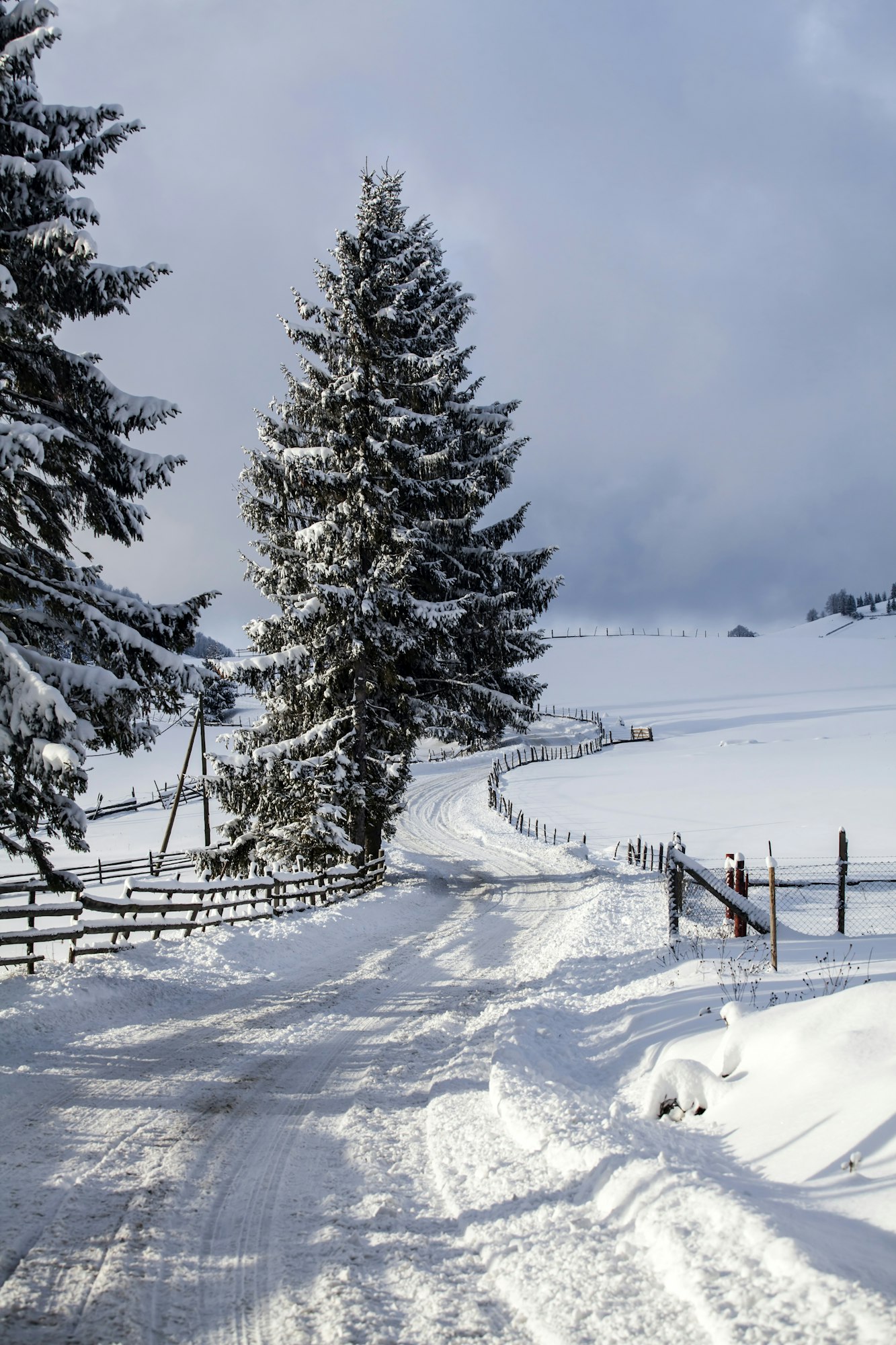 Snowy road