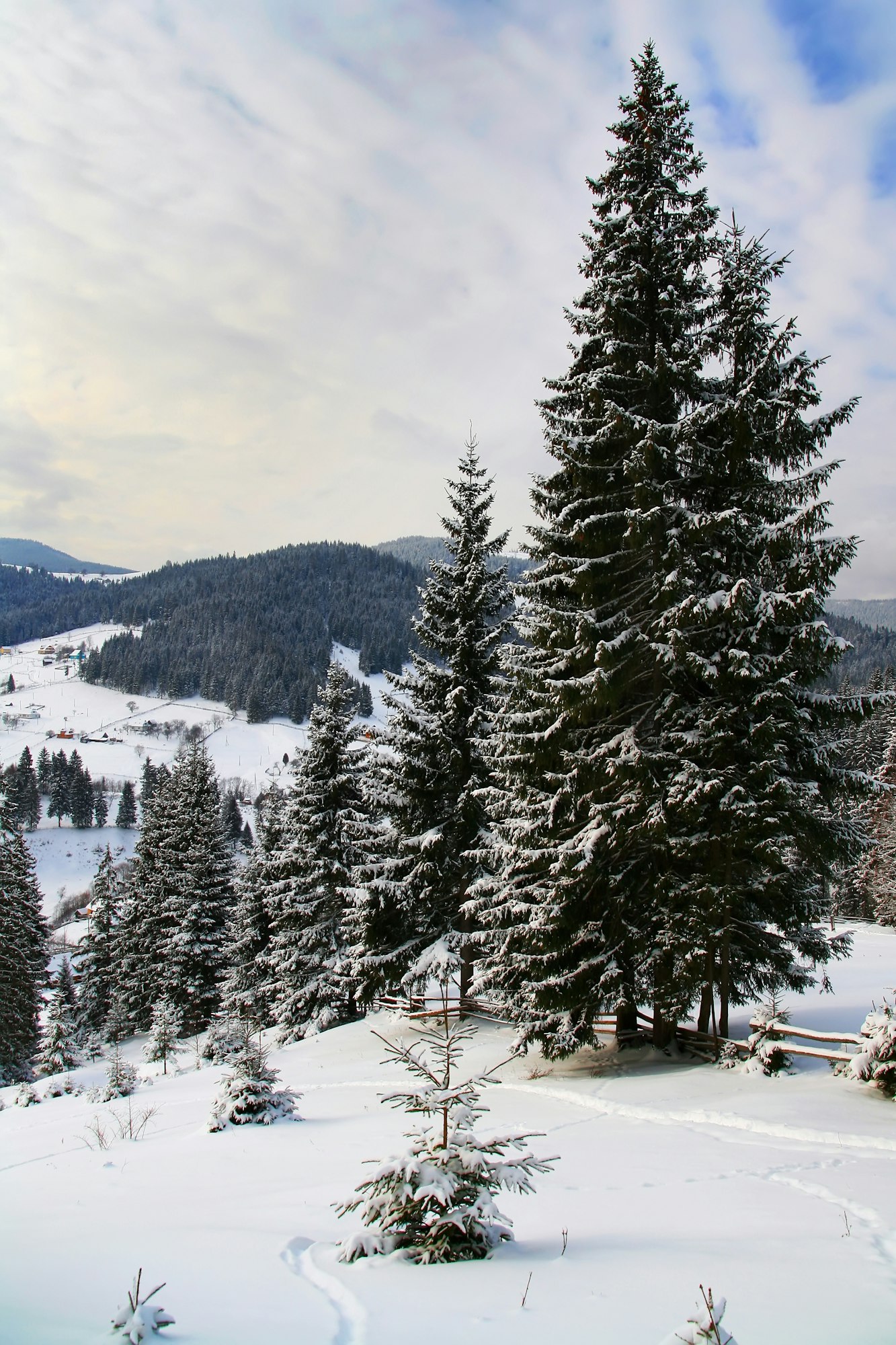 Snowy winter in the foothills of the Alps