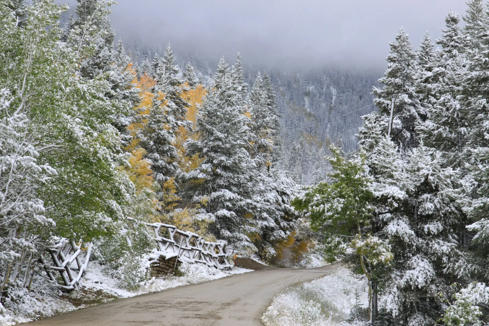 Aspen Colorado